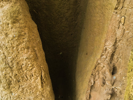 Behemoth Anthill closeup - Stock Image as JPG File