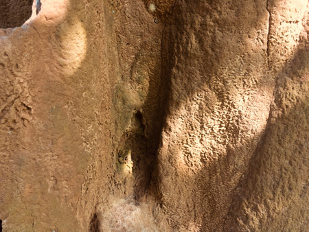 Behemoth Anthill closeup - Stock Image as JPG Fileの写真素材