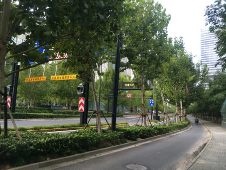 Green Walkways in Pudong Shanghai  - Stock Image as EPS 10 Fileの写真素材