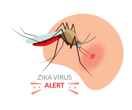 Mosquito biting on Human Skin - Zika Alert - Stock Illustration as EPS 10 Fileのイラスト素材