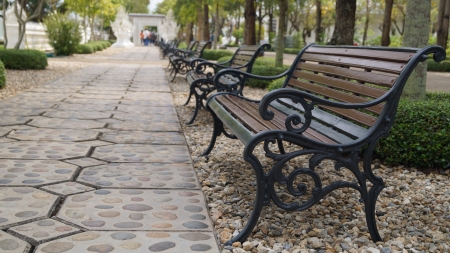Bench on the stone pathway sideの写真素材