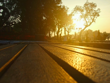 The wooden bench wirh dewdrops in the morning at first sunlight.の素材