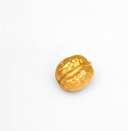 golden walnut isolatedの写真素材