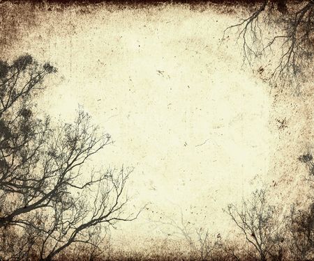 grunge frame with tree silhouettesの写真素材