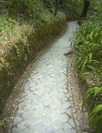 path in a garden