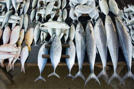 fresh fish at fishmarketの写真素材