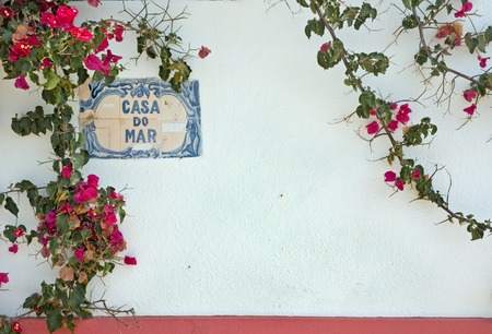 background of white wall and bloming flowers, wall of old house in Portugalの写真素材
