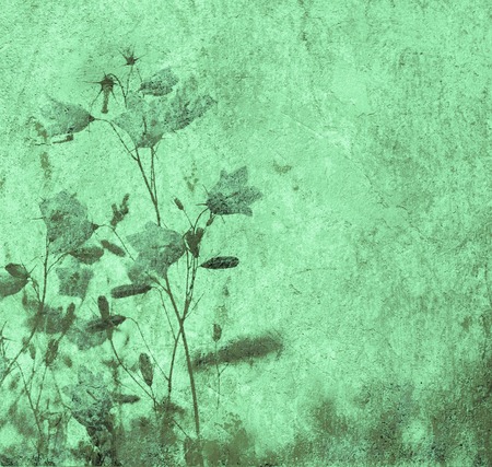 grunge floral background with space for text or imageの写真素材