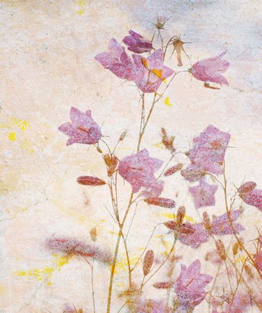 grunge floral background with space for text or image