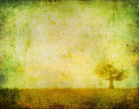 vintage image of a tree in the fieldの写真素材