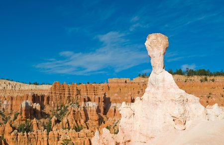 Red pinnacles (hoodoos) of Bryce Canyon, Utah, USAの写真素材