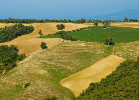 image of typical tuscan landscape