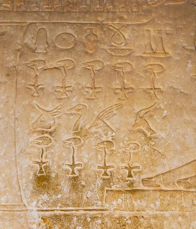egyptian hieroglyphics from saqqarah, cairo