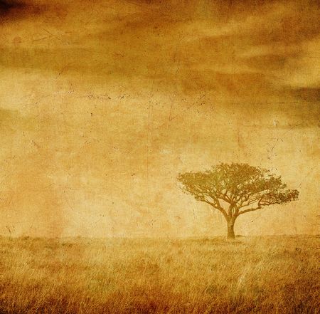 grunge image of a tree on a vintage paperの写真素材