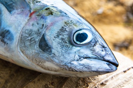 head of tuna fish at a fish marketの写真素材
