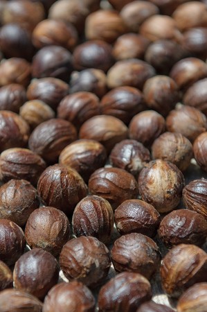 close up image of nutmegの写真素材