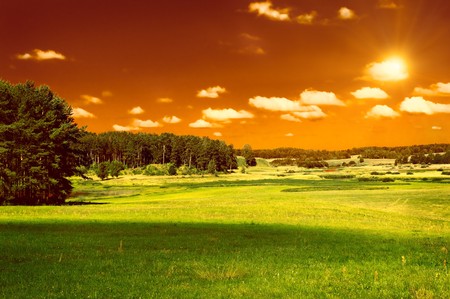 green field, forest and red skyの写真素材