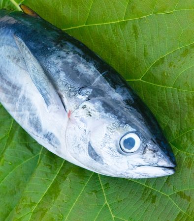 head of tuna fish at a fish market
