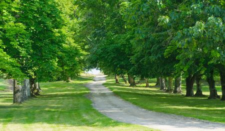 green alleyの写真素材