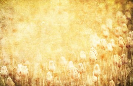 grunge floral background with space for text or imageの写真素材