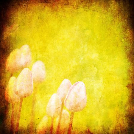 grunge floral background with space for text or imageの写真素材