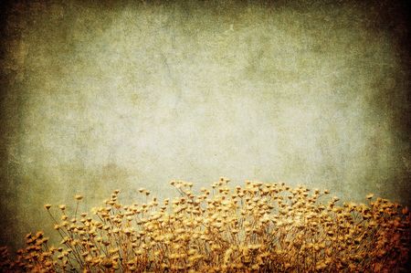 grunge image of a fieldの写真素材