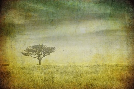 grunge image of a tree on a vintage paperの写真素材