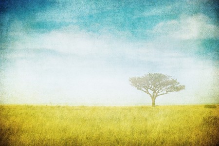 grunge image of a tree on a vintage paperの写真素材