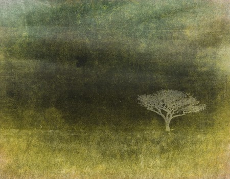 grunge image of a tree on a vintage paperの写真素材