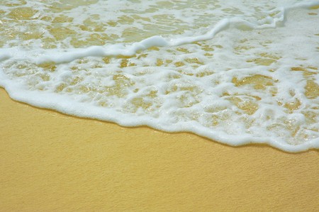 surf in the tropical beachの写真素材