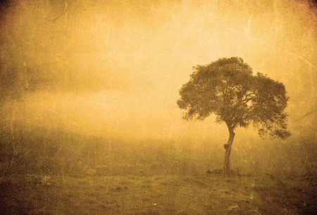 grunge image of a tree on a vintage paperの写真素材