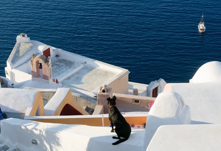 Oia village at Santorini island, Greeceの写真素材