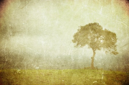 grunge image of a tree on a vintage paperの写真素材