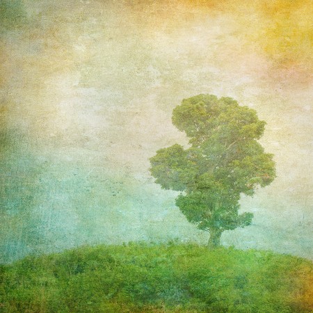 grunge image of a tree over vintage backgroundの写真素材