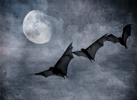 bats in the dark cloudy sky, perfect halloween backgroundの写真素材