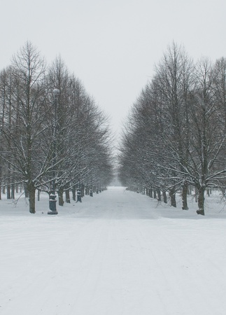 winter landscapeの写真素材