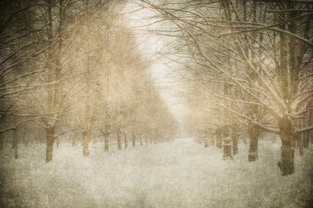 grunge image of winter landscapeの写真素材