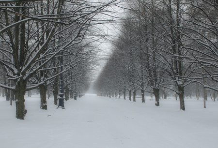 winter landscapeの写真素材