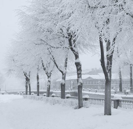 winter landscapeの写真素材