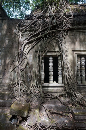 Ruins of Beng Mealea, Angkor, Cambodia