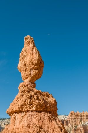 Red pinnacles (hoodoos) of Bryce Canyon, Utah, USAの写真素材