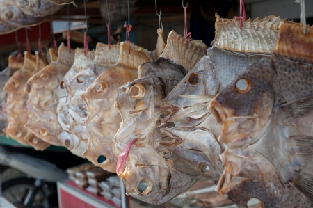 Dried fish, Sulawesi, Indonesiaの写真素材