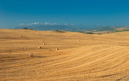 image of typical tuscan landscapeの写真素材