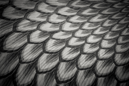 grunge backgroundの写真素材