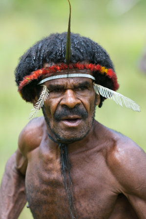 WAMENA, PAPUA, INDONESIA - November, 14: People of Dani tribe performing traditional fighting dance...
