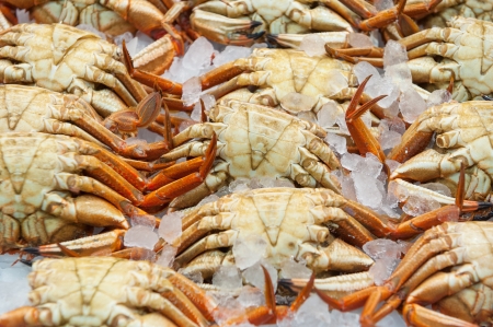 fresh crabs in the marketの写真素材