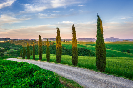 image of typical tuscan landscapeの写真素材