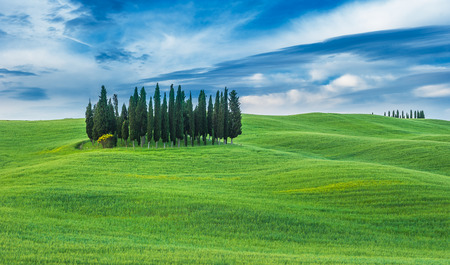 image of typical tuscan landscapeの写真素材