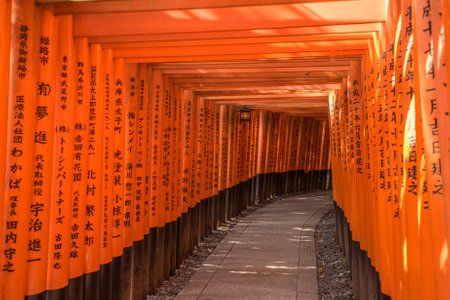 Red Torii of Fushimi Inari Shrine, Kyoto, Japanのeditorial素材