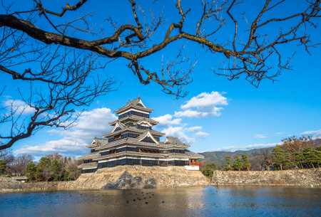 Matsumoto castle, national treasure of Japanのeditorial素材